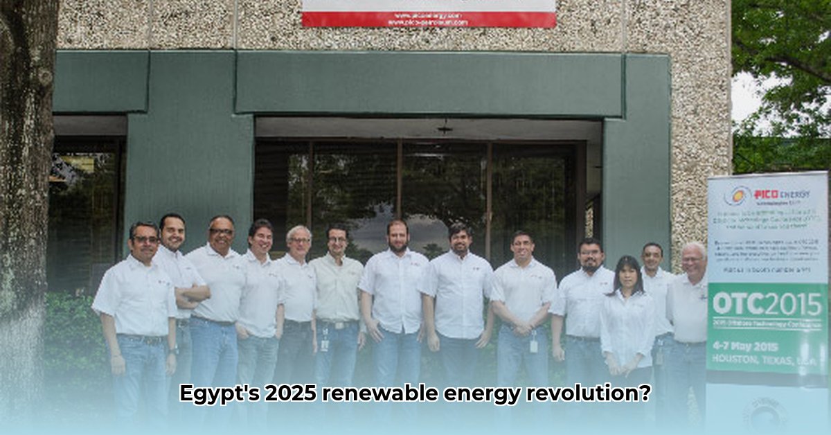 pico-energy-egypt